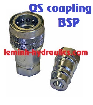 Manuli Quick Safe coupling BSP