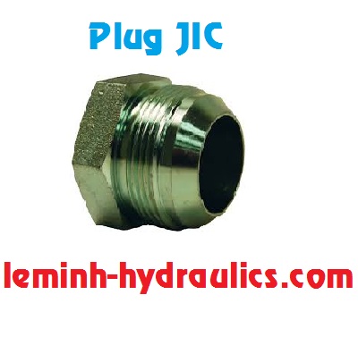 Plug JIC